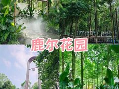 -老鼎万春卤菜(五代传承创始老店)