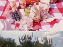 -昆山城市生态森林公园