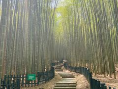 -杭州植物园