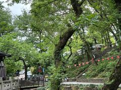 -兴福老面馆(寺路街店)