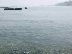 -深圳湾公园(南山区)