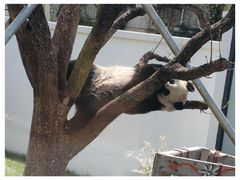 -无锡动物园·太湖欢乐园