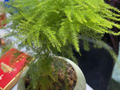 -复兴面王(河东路起源店)
