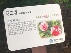 -仁和公园(顺义区)