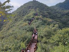 -大岭沟猕猴桃谷风景区