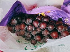 -陇南批发市场
