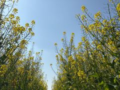 -中国天府农业博览园