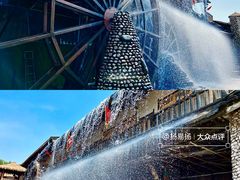 -呀路古热带植物园