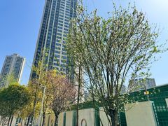 -国际非物质文化遗产博览园