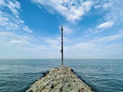 -上海滨江森林公园