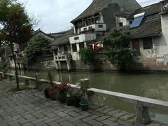 -枫泾丁氏烧卖(枫丽路店)