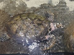 -南昌融创海世界