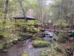 -汤旺河林海奇石景区