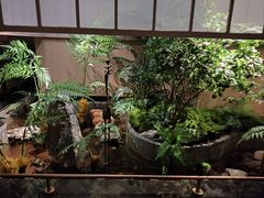 -鹤祥宫·影院足道·SPA连锁(苹果园店)