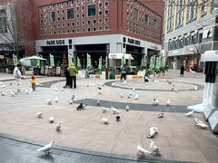 -中粮·祥云小镇