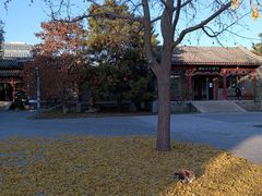 -北京鲁迅博物馆(北京新文化运动纪念馆鲁博馆区)