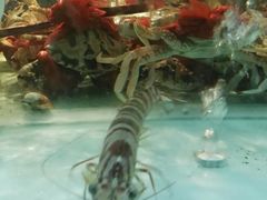 -潮福城大酒楼·潮味粤品·港式点心(湖滨北路店)