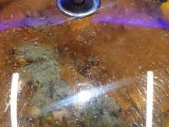 -鸽子刘铁锅炖鱼(劲松店)