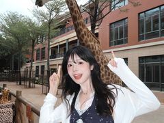 -灵玲国际马戏城