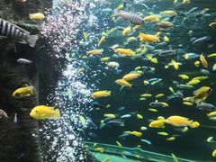 -合肥海洋世界