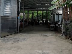 -新地休闲农场