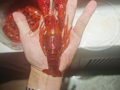 -盱眙红叶龙虾(金源北路店)