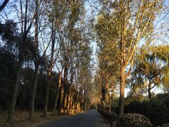 -东南大学(九龙湖校区)