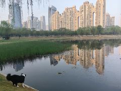 -西北湖绿化广场