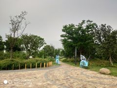 -东湖落雁景区