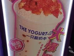 -一只酸奶牛(洪崖洞11楼店)