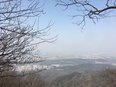 -紫金山山顶公园