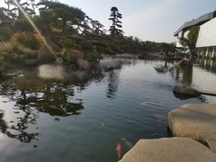 -罗红摄影艺术馆