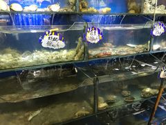 -小船渔村•大连菜•大连焖鱼(明泽街店)