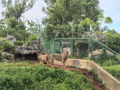 -海南热带野生动植物园