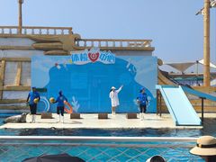 -秦皇岛乐岛海洋王国