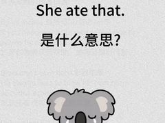 -新东方·考研·四六级·专转本(全民校区)