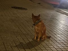 -唐记麻辣拌麻辣烫(景田东路店)