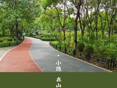 -大兴滨河森林公园