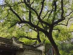 -宁波市保国寺古建筑博物馆