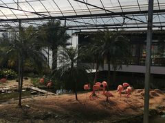 -无锡动物园·太湖欢乐园