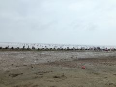 -南汇嘴观海公园