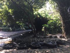 -成都市活水公园