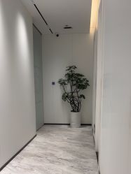 -玛莲朵·海菲秀冰珀科