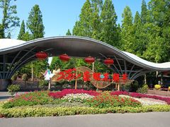 -东平国家森林公园