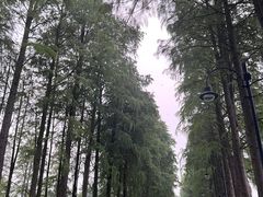 -东湖生态旅游风景区