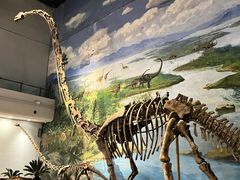 -自贡恐龙博物馆