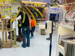 -喵园·猫主题咖啡厅·撸猫·猫咖(国贸店)