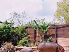-上海野生动物园