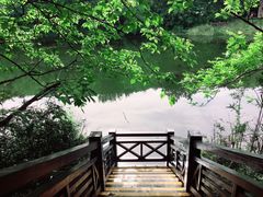 -白马涧龙池景区
