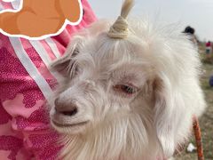 -敕勒川草原文化旅游区